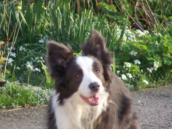 Head shot taken 2007