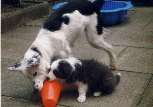 Jezabell Sharing her bucket with Judy