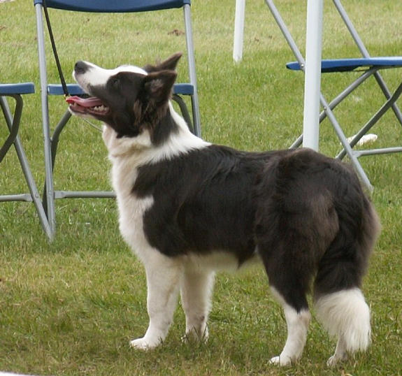 Sookie 6 months and 1 day