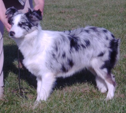 6 months old