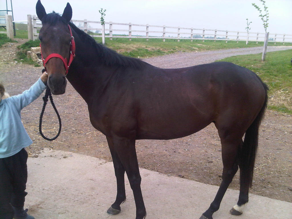 Hawkesfield Flyer before work