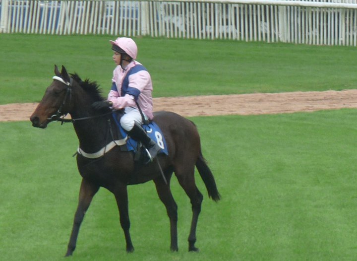 Theo on board Hawkesfield Flyer at Chepstow
