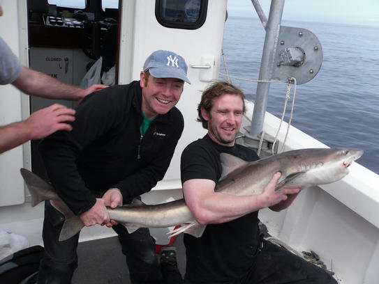45lb tope