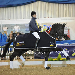 Hermann TG Novice Open Winter Champion 2008, photo courtesy of Kevin Sparrow www.kevinsparrow.co.uk