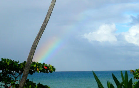 Rainbow in Jamaica