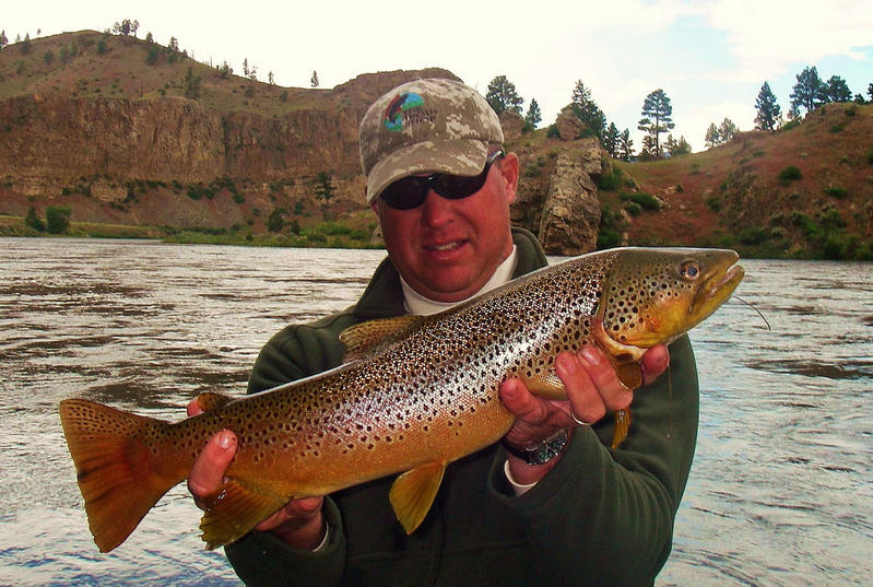 MISSOURI RIVER TROUT FLYFISHING GUIDE