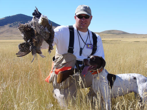 South Dakota Sharptail Grouse