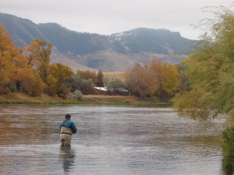 FLYFISHING MISSOURI RIVER TROUT