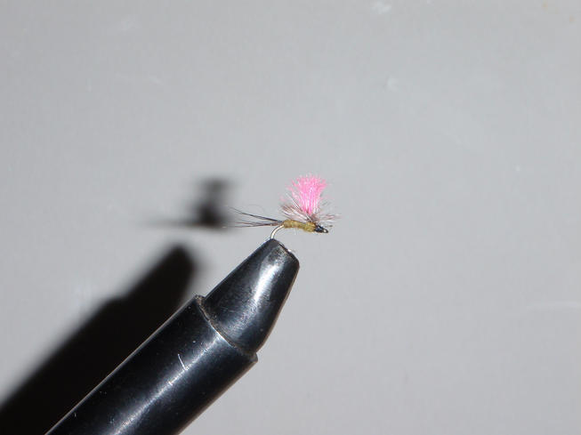 MONTANA GUIDED FLYFISHING