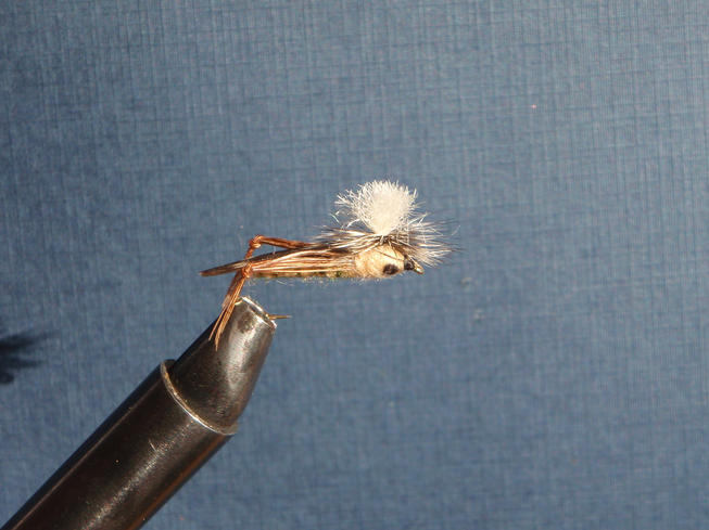 FLYFISHING MISSOURI RIVER TROUT