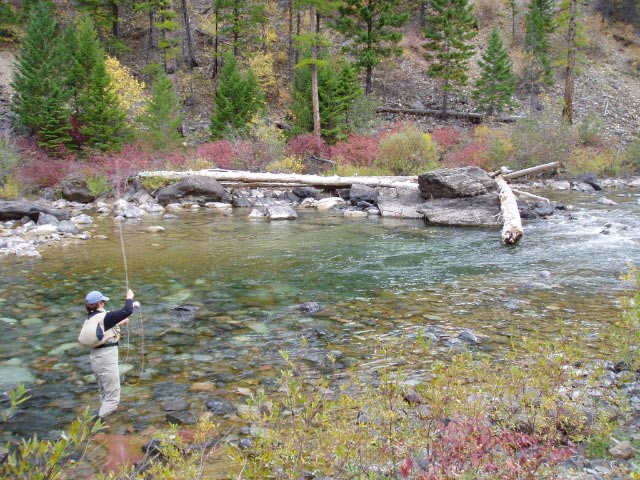 FLYFISHING MISSOURI TROUT