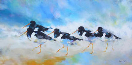 Captured moments, oyster catchers
