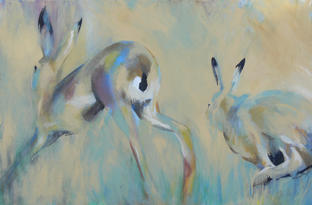 hares