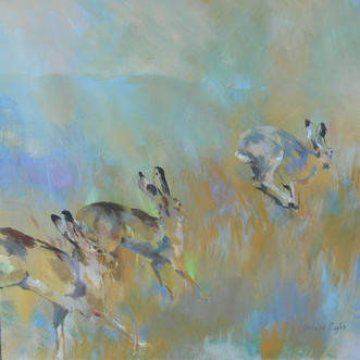 Hares