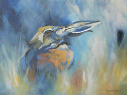 Hare