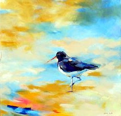 OYSTER CATCHER