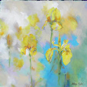 Flowers iris