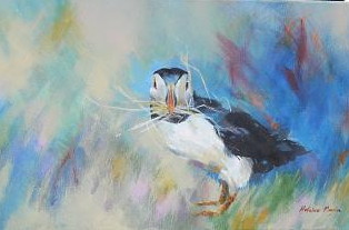 Puffin