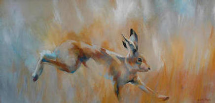 running hare