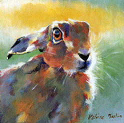 Autumn hare