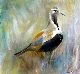 Dotteril