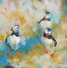 Puffins
