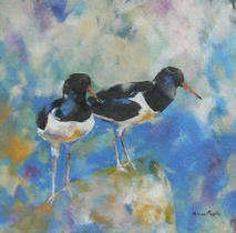 OYSTER CATCHERS