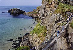 The Rope Bridge