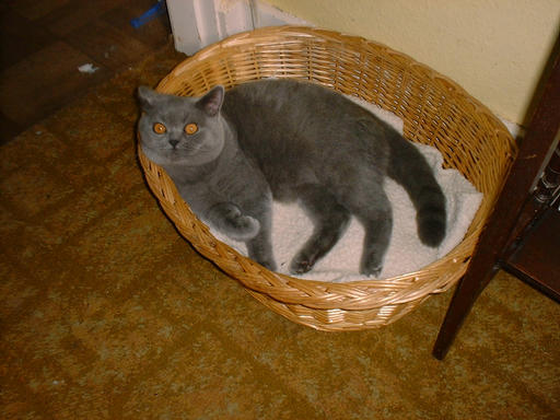 Danny relaxing!!