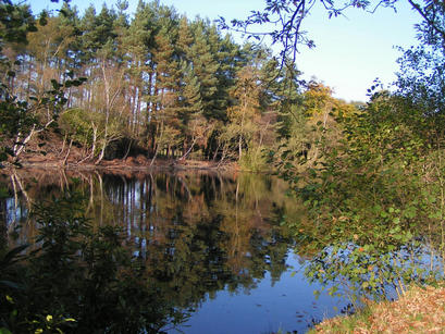 Rapley Lake in the Autumn