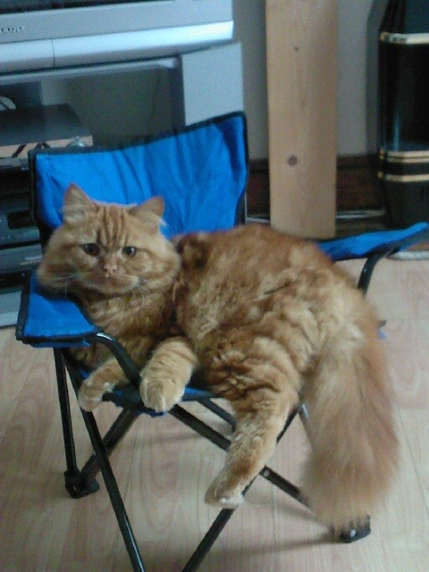 Rustic taking life easy he belongs to my Grandson.