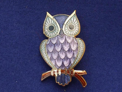enamelled owl brooch