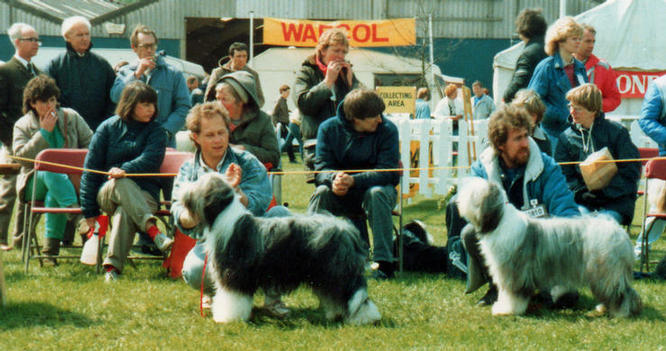 Natterjack Natasha and Desborough Destiny of Sammara