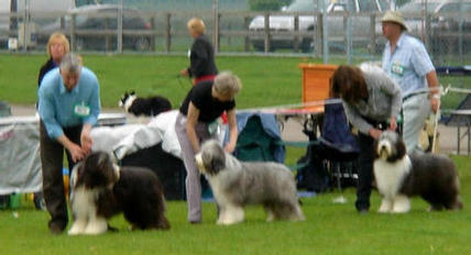 Indy in line up at southern counties
