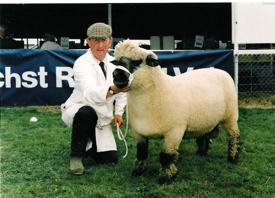 Gorse Dion. Breed champion Royal Welsh Show