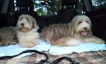 Jesse and Gracie