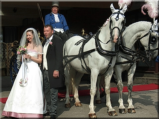 Marcus and Cara Wedding my younger son september 2008