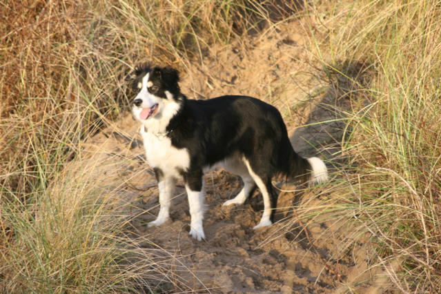 The gorgeous Zena at 6 months