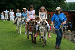 donkey rides