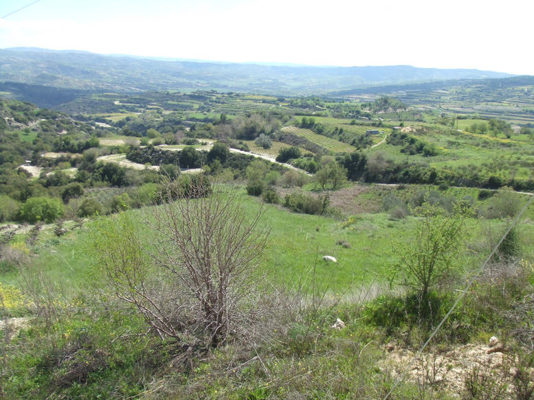 View South