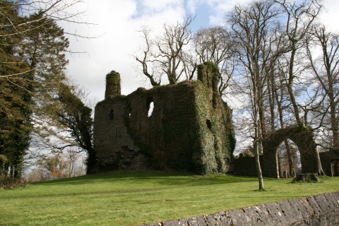 Templemore Castle ruins