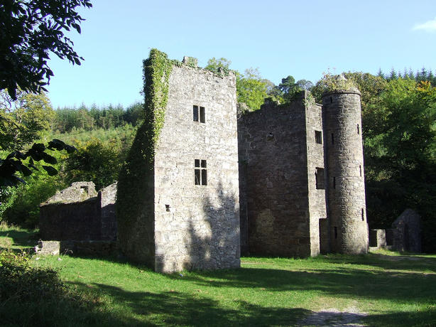 Careys Castle Clonmel