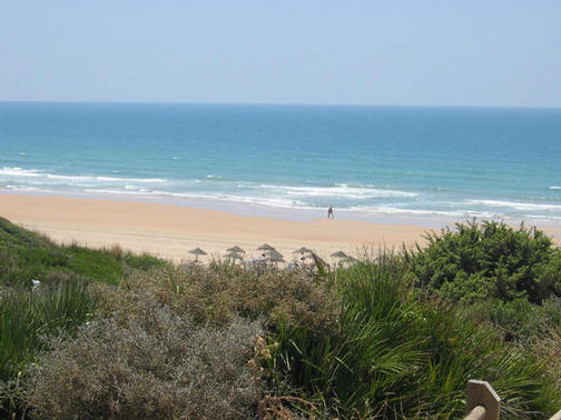 Superb sandy beach