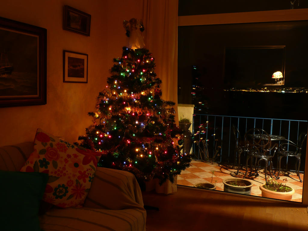 Xmas at Badgers Run