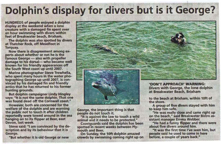 Dolphin swimming with divers at Brixham Breakwater beach  16-10-11