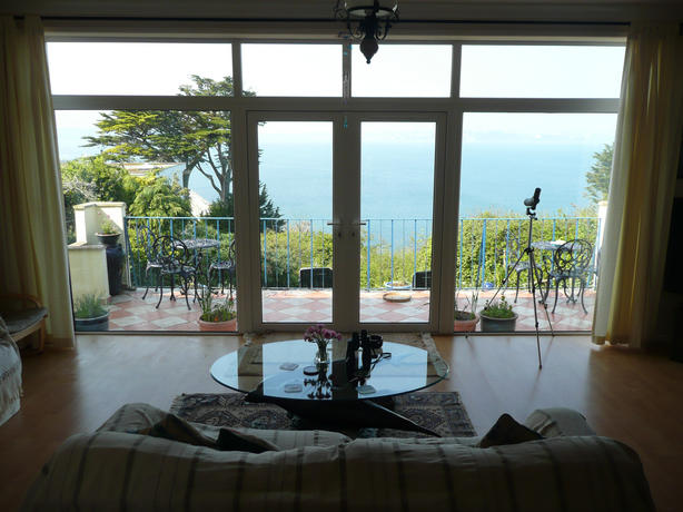 picture windows
