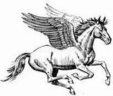 Pegasus