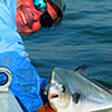 THE BEST FLY FISHING GUIDES IN THE KEYS