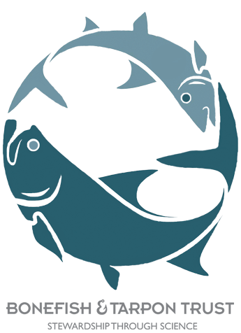 FLY FISHING CHARTERS FOR TARPON, PERMIT, AND BONEFISH IN THE LOWER FLORIDA KEYS