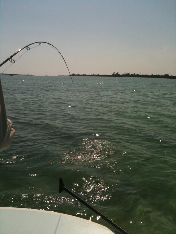 FLATS FISHING LOWER KEYS
